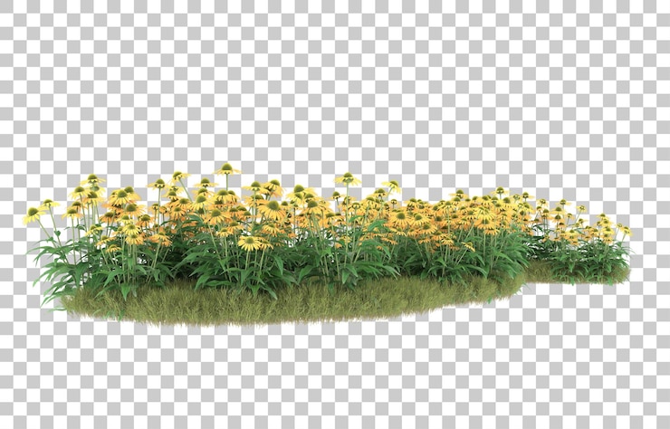PSD grass on transparent background. 3d rendering - illustration