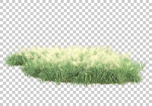 Grass surface on transparent background 3d rendering illustration