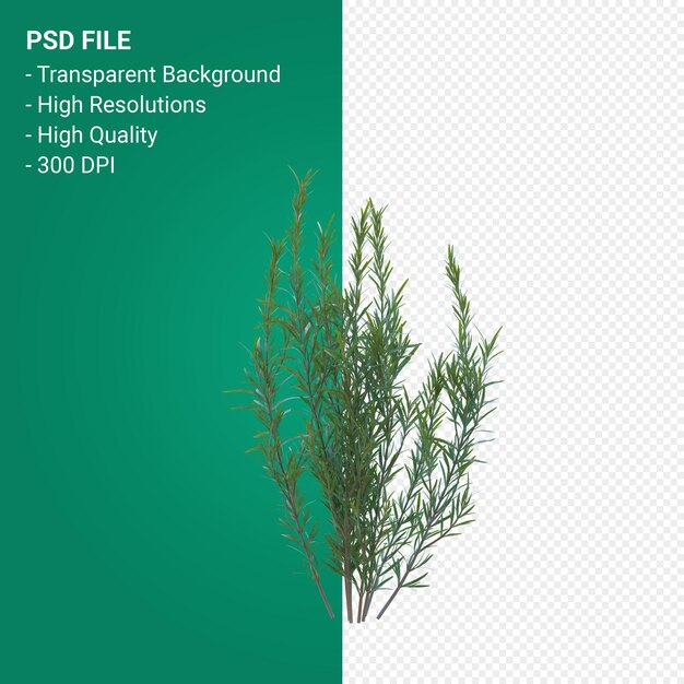 Grass tree 3d render isolated 