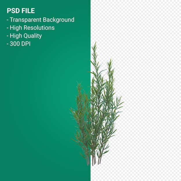 Grass tree 3d render isolated 