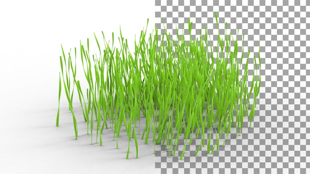 Grass with shadow 3d render