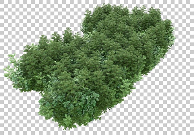 Grasszene auf transparentem Hintergrund 3D-Darstellung