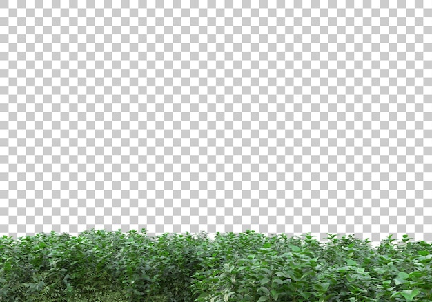 Grasszene auf transparentem Hintergrund 3D-Darstellung