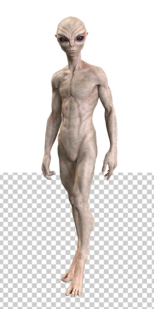 Grauer Alien auf transparentem Hintergrund 3D-Rendering