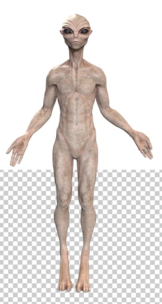 Grauer Alien auf transparentem Hintergrund 3D-Rendering