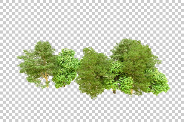 Green forest isolated on transparent background 3d rendering illustration
