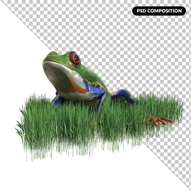 Grenouille Animal Isolé 3d