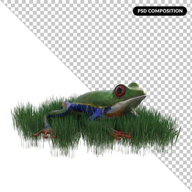 PSD grenouille animal isolé 3d