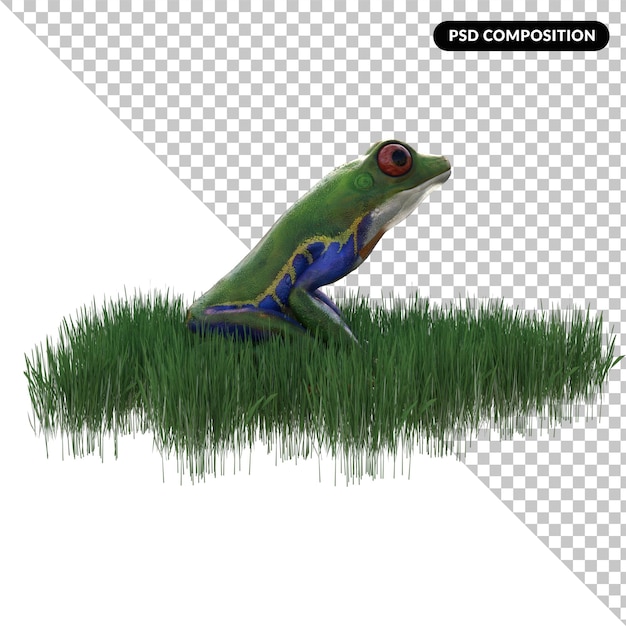 Grenouille Animal Isolé 3d