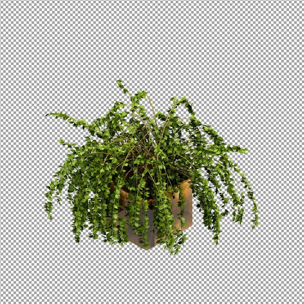 Gros plan sur une fleur dans un vase en rendu 3d