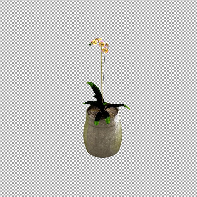 PSD gros plan sur une fleur dans un vase en rendu 3d