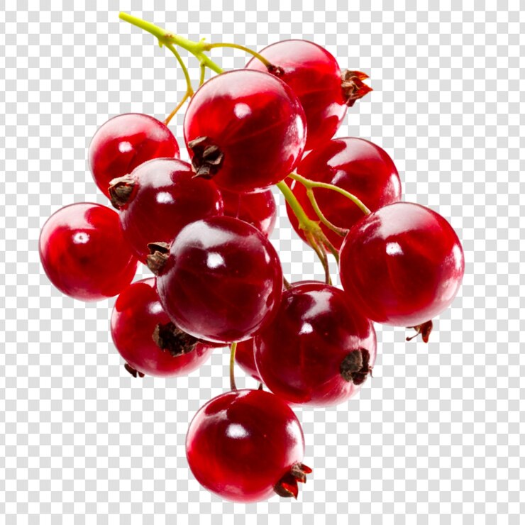 PSD las grosellas rojas, las frutas frescas, la vitamina c de la naturaleza