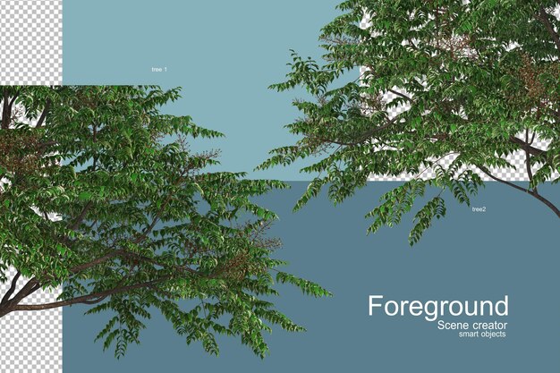 großer Baum hautnah zur Dekoration für die Schönheit