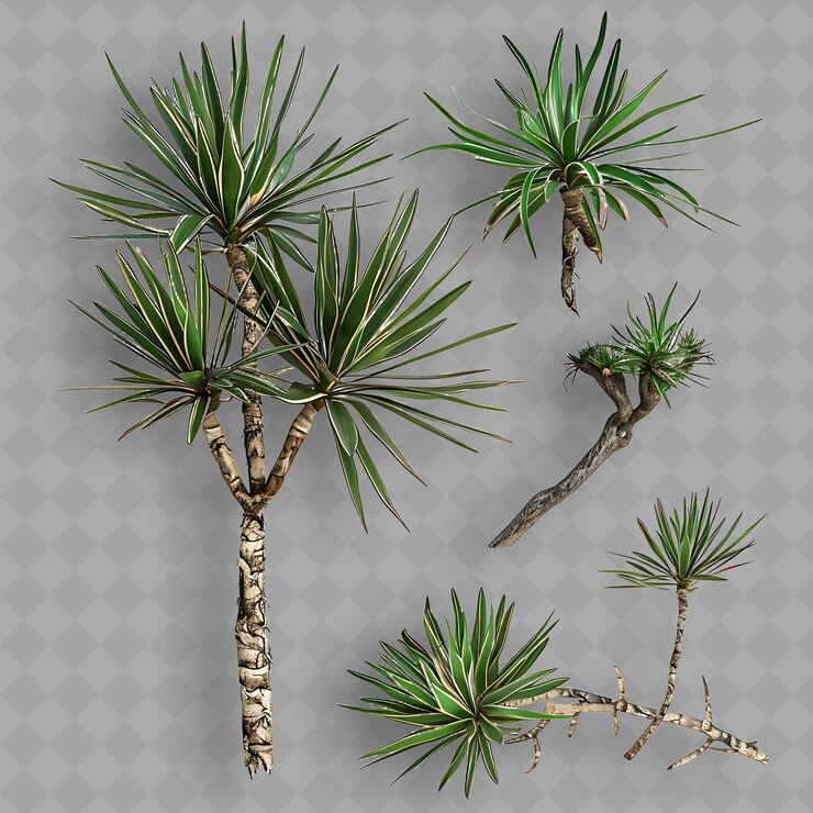 PSD un groupe de palmiers aux feuilles vertes et aux branches