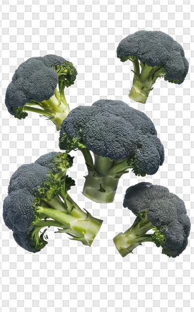 PSD un groupe de têtes de broccoli sont montrés sur un papier à carreaux