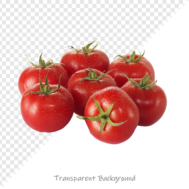 un groupe de tomates avec les mots " transparus " écrits en bas