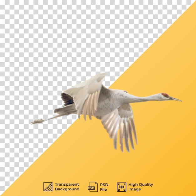 Grúa en vuelo