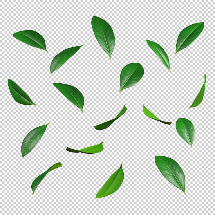PSD grüne blätter bewegung fallender fluss 3d-rendering illustration hintergrund