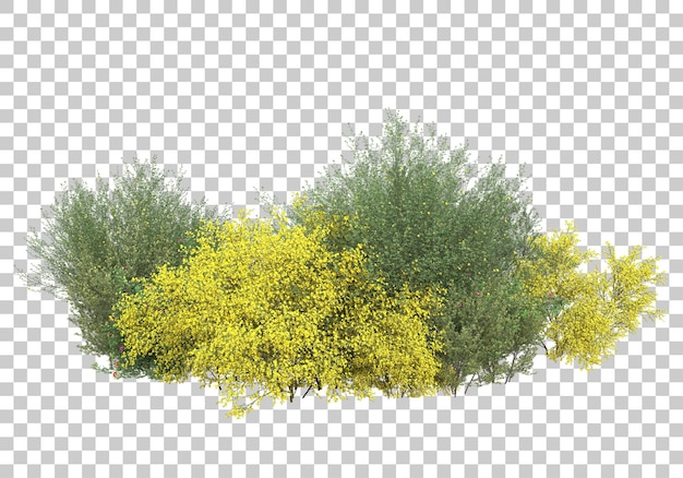 Grüne Büsche auf transparentem Hintergrund 3D-Darstellung