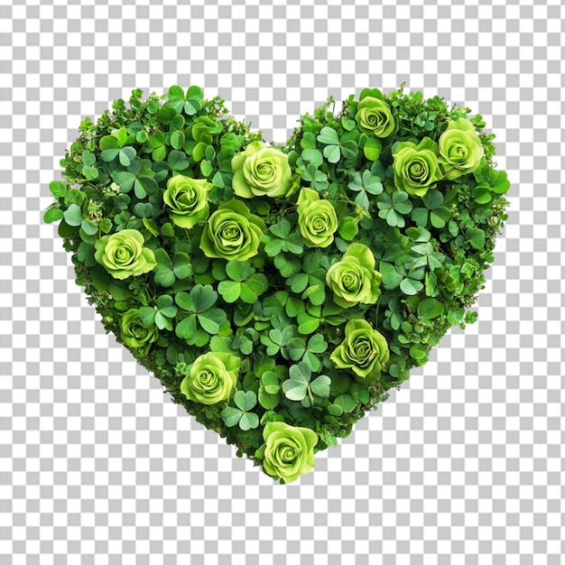grüne Herzrosen auf weißem Hintergrund