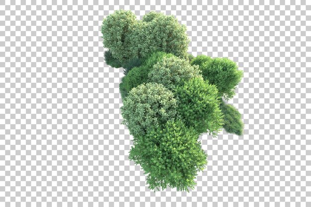 Grüne Landschaft isoliert auf durchsichtigem Hintergrund 3D-Rendering-Illustration