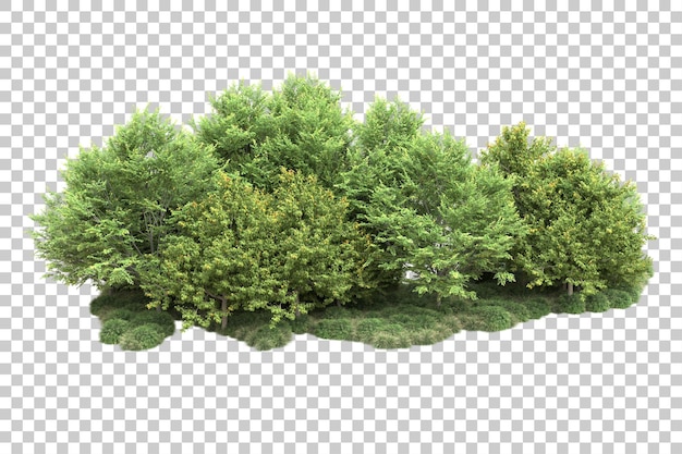 Grüne Landschaft isoliert auf durchsichtigem Hintergrund 3D-Rendering-Illustration