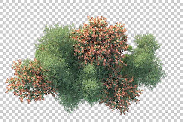 Grüne Landschaft isoliert auf durchsichtigem Hintergrund 3D-Rendering-Illustration