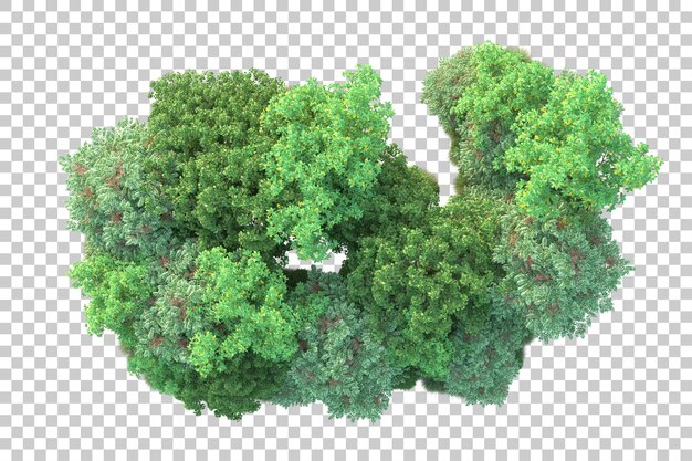 Grüne Landschaft isoliert auf durchsichtigem Hintergrund 3D-Rendering-Illustration