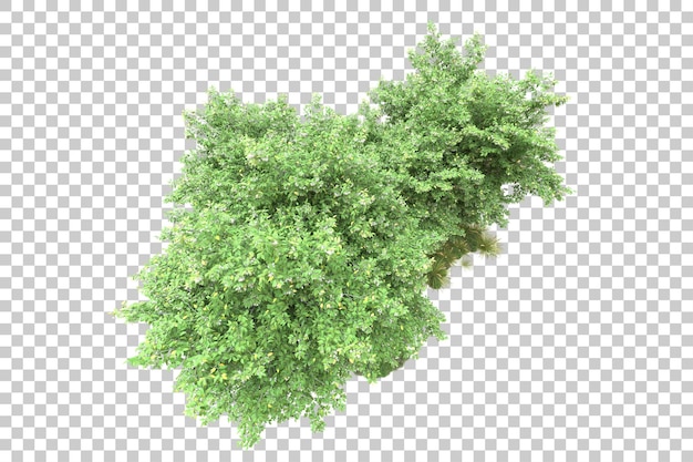 Grüne Landschaft isoliert auf transparentem Hintergrund, 3D-Darstellung