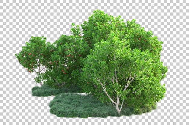 Grüne Landschaft isoliert auf transparentem Hintergrund, 3D-Darstellung