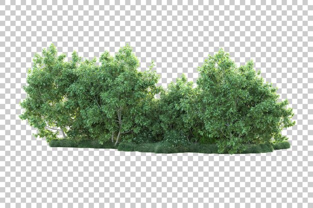 Grüne Landschaft isoliert auf transparentem Hintergrund, 3D-Darstellung