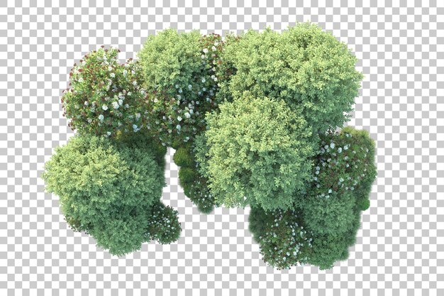 Grüne Landschaft isoliert auf transparentem Hintergrund, 3D-Darstellung