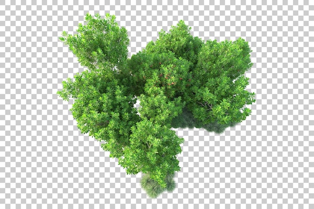 Grüne Landschaft isoliert auf transparentem Hintergrund, 3D-Darstellung