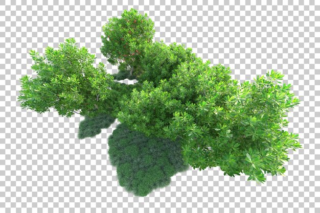 Grüne Landschaft isoliert auf transparentem Hintergrund, 3D-Darstellung