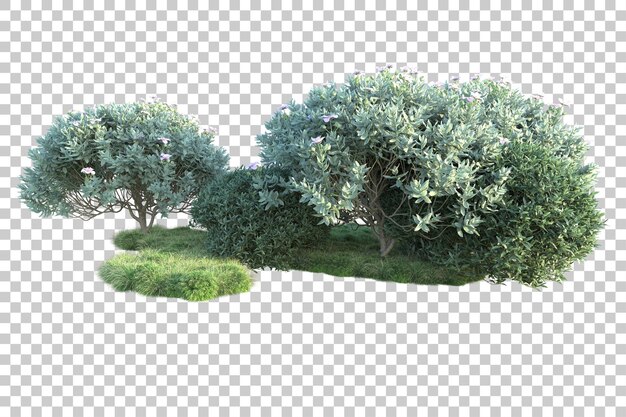 Grüne Landschaft isoliert auf transparentem Hintergrund, 3D-Darstellung