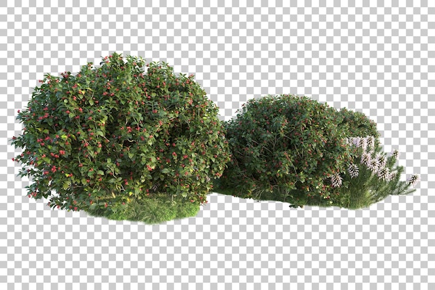 Grüne Landschaft isoliert auf transparentem Hintergrund, 3D-Darstellung