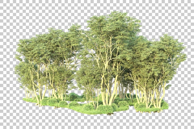 Grüne Landschaft isoliert auf transparentem Hintergrund, 3D-Darstellung