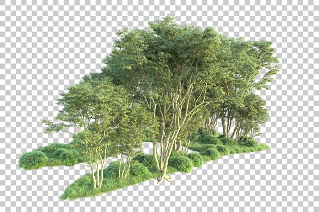 Grüne Landschaft isoliert auf transparentem Hintergrund, 3D-Darstellung