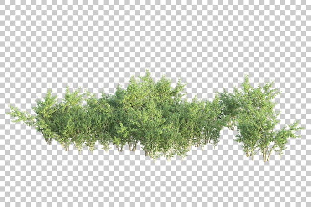 Grüne Landschaft isoliert auf transparentem Hintergrund, 3D-Darstellung