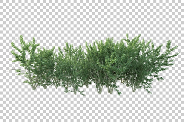 Grüne Landschaft isoliert auf transparentem Hintergrund, 3D-Darstellung