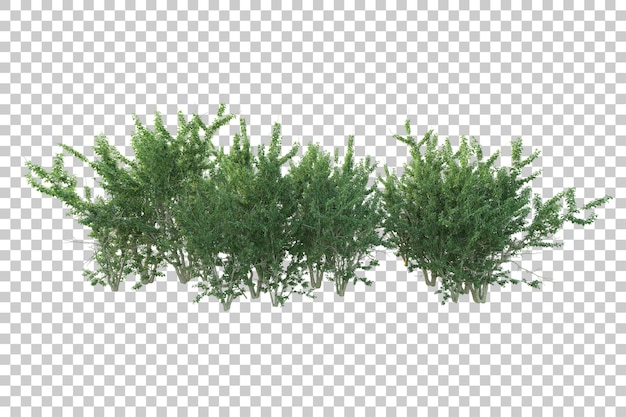 Grüne Landschaft isoliert auf transparentem Hintergrund, 3D-Darstellung