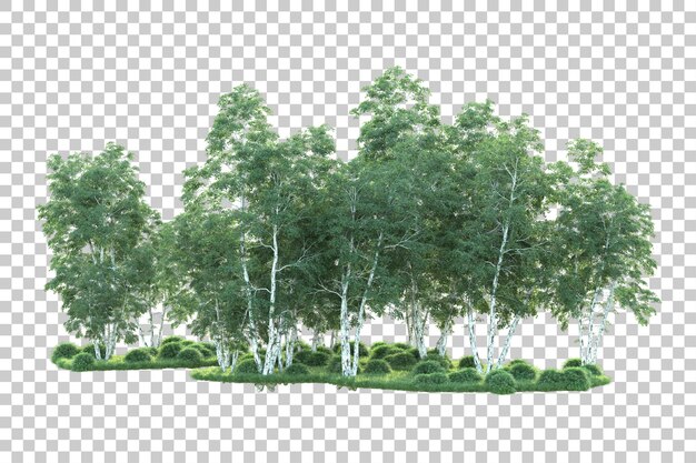 Grüne Landschaft isoliert auf transparentem Hintergrund, 3D-Darstellung