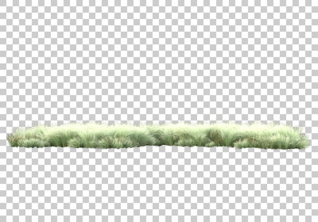 Grüne Pflanzen und Blumen auf transparentem Hintergrund 3D-Darstellung