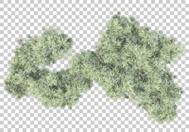 Grüne Pflanzen und Blumen auf transparentem Hintergrund 3D-Darstellung