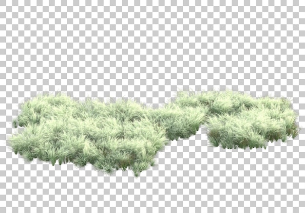Grüne Pflanzen und Blumen auf transparentem Hintergrund 3D-Darstellung