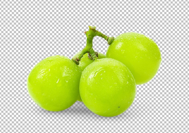 Grüne Trauben isoliert auf Alphaschicht