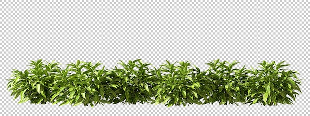 Grüne Tropensträucher Reihe Ausschnitt 3D-Render