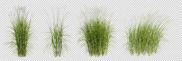 Grüne Wiese Wiese Form ausgeschnitten Hintergründe transparent 3D-Rendering