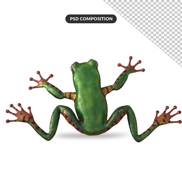 Grüner Frosch 3D-Rendering-Vorrat