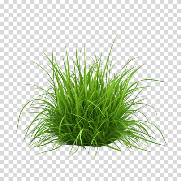 Grüner Grasstumpf
